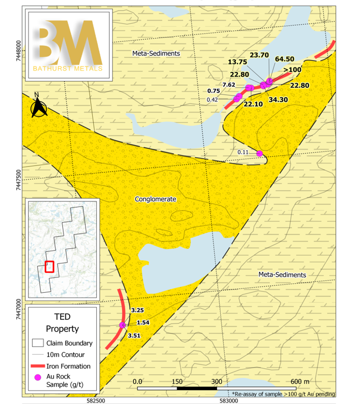 TED Showing — geological map with sample locations